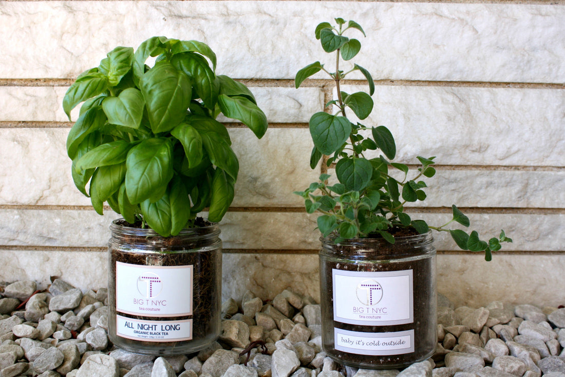 DIY: Tips to Reuse your Big T NYC Glass Jars