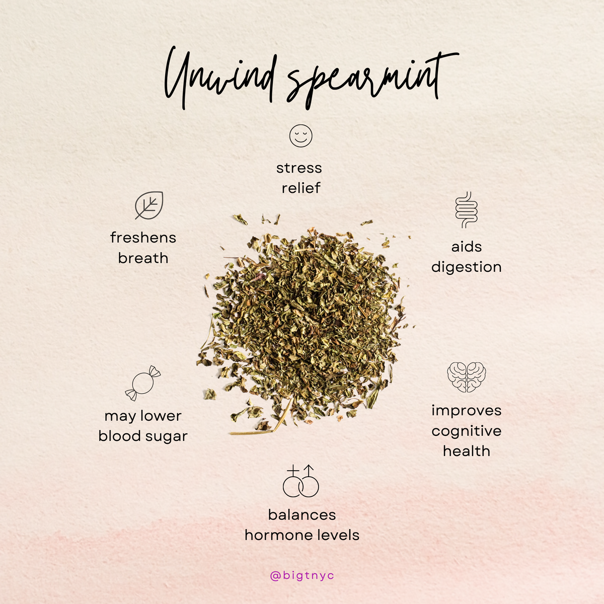 9 Incredible Spearmint Tea Benefits You Should Know – Tea Drops